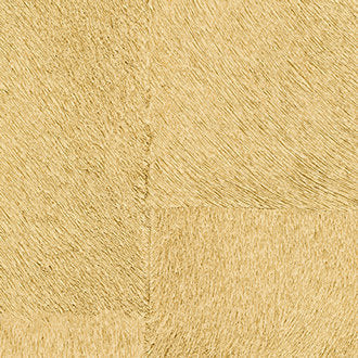 ÉLITIS Appaloosa Indomptee Project Behang CV_113_11