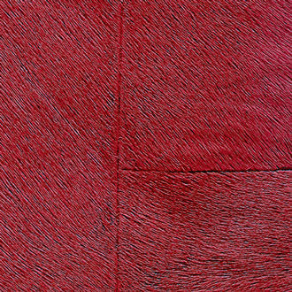 ÉLITIS Appaloosa Indomptee Project Behang CV_113_12