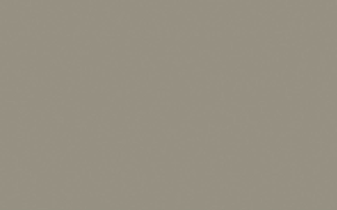 Intelligent Masonry Paint | Lead Colour no. 117