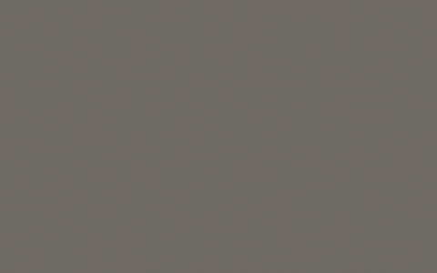 Wall Primer Sealer | Dark Lead Colour no. 118