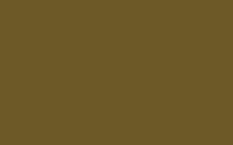 Interior Oil Eggshell | Light Bronze Green no. 123
