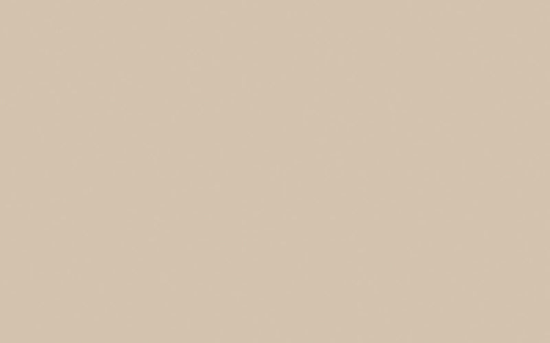 Intelligent Satinwood | Mushroom no. 142