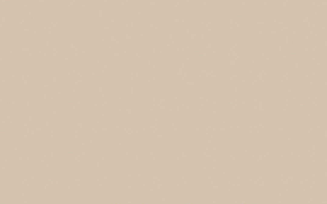 Limewash | Mushroom no. 142