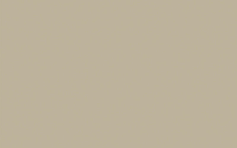 Lime wash | Slaked Lime - Dark no. 151