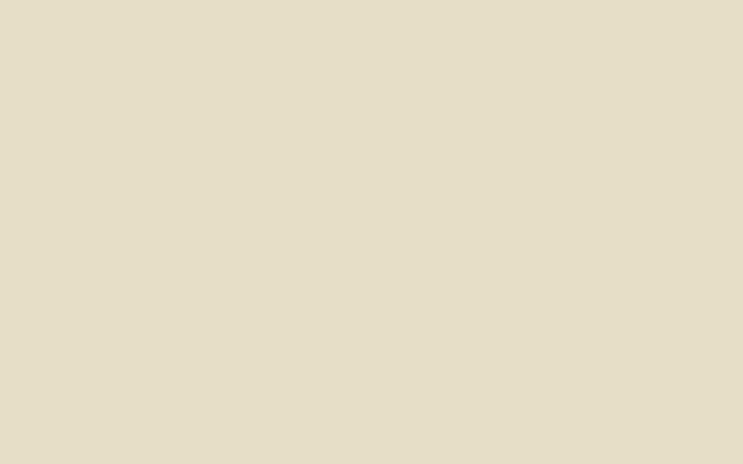 Limewash | Clay - Mid no. 153