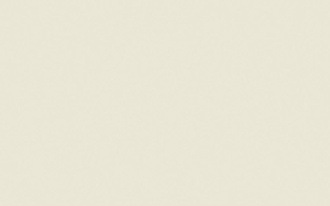 Limewash | Portland Stone - Pale no. 155