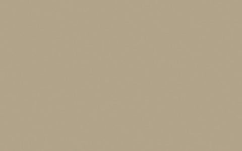 Sample jar | Rolling Fog - Dark no. 160 | Little Greene