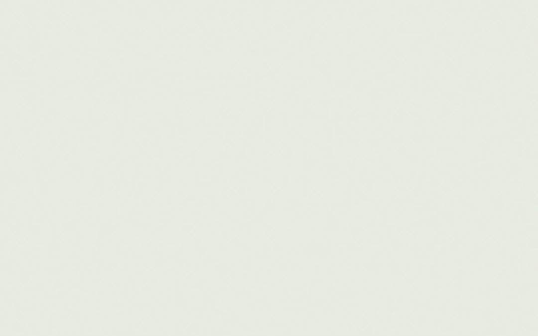 Limewash | Pearl Colour - Pale no. 167