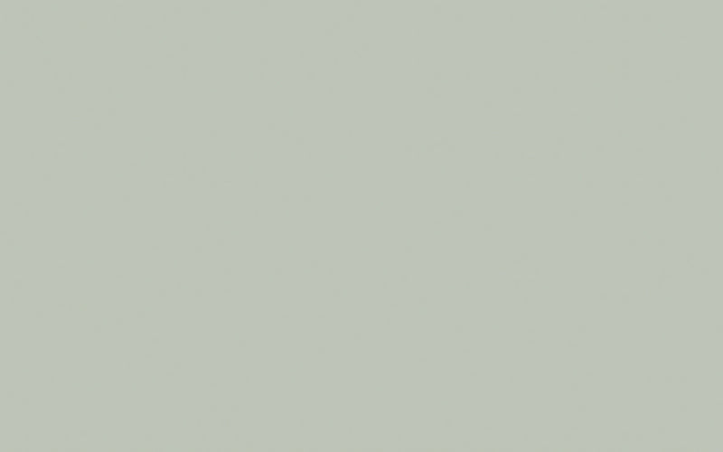 Absolute Matt Emulsion | Pearl Colour - Dark no. 169