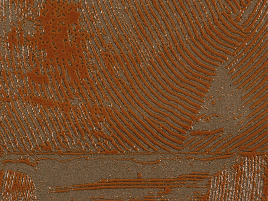 ÉLITIS Impulsion Behang RM_1022_72