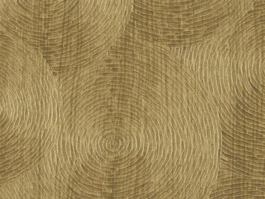 ÉLITIS Volute Behang VP_937_22