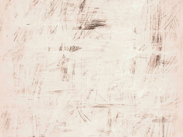 ÉLITIS Tableau Rose Behang TP_335_01
