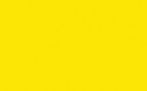 Interior Oil Eggshell | Trumpet no. 196