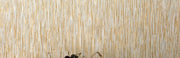 ÉLITIS La Casa De Paja Métal HPC Project Behang