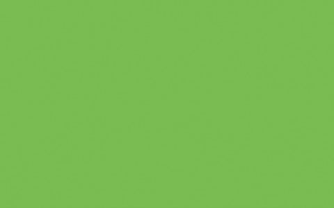 Interior Oil Eggshell | Phthalo Green no. 199