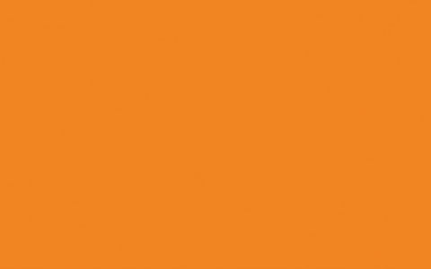 Absolute Matt Emulsion | Marigold no. 209