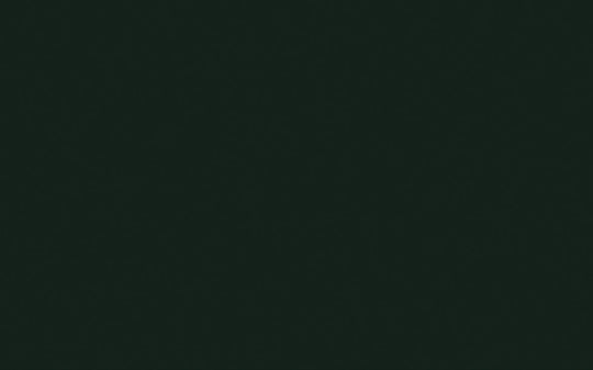 Interior Oil Eggshell | Obsidian Green no. 216