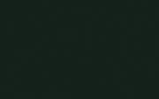 Traditional Oil Gloss | Obsidian Green no. 216