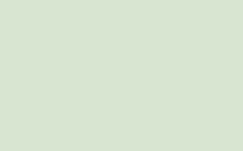 Intelligent Eggshell | Drizzle no. 217