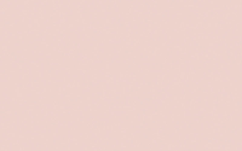 Intelligent Exterior Eggshell | Pink Slip no. 220
