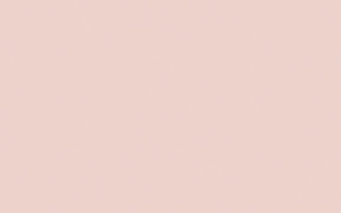 Limewash | Pink Slip no. 220