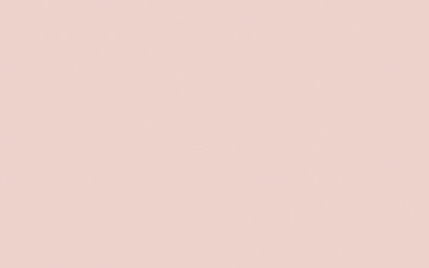 Absolute Matt Emulsion | Pink Slip no. 220