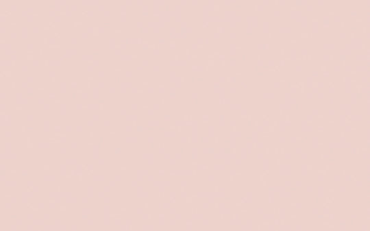 Intelligente Eierschale | Pink Slip Nr. 220