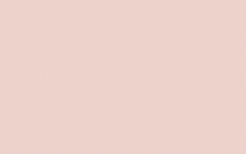 Intelligent Masonry Paint | Pink Slip no. 220