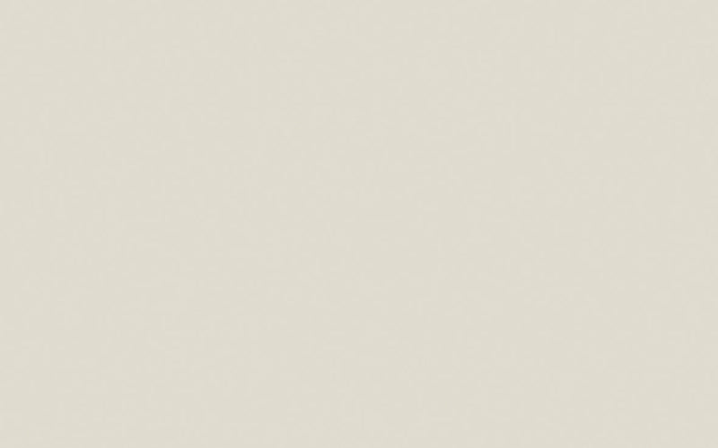 Intelligent Masonry Paint | Flint No. 236