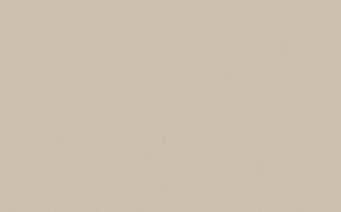 Absolute Matt Emulsion | Mortar no. 239