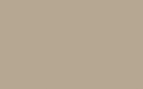 Intelligent Eggshell | True Taupe no. 240