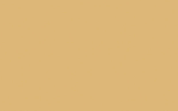 Intelligent Satinwood | Mortlake Yellow no. 265