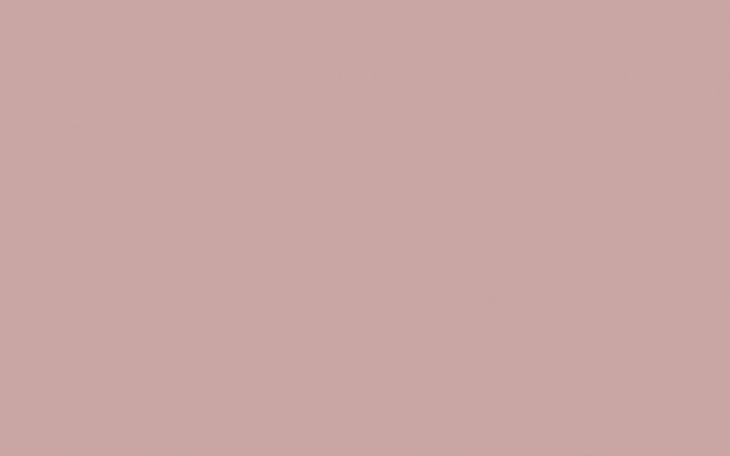 Intelligent ASP | Hellebore no. 275