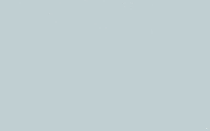 Intelligent Masonry Paint | Bone China Blue - Faint no. 325