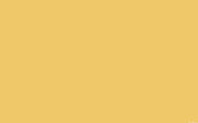 Intelligent Masonry Paint | Giallo no. 337