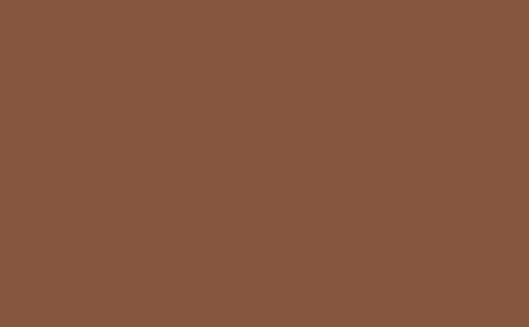 NEW: Intelligent ASP | Muscovado no. 343