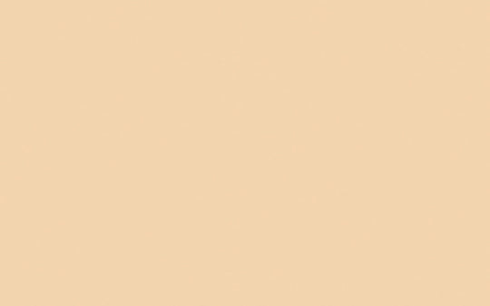 Intelligente Eierschale | Stone Pale Warm Nr. 34