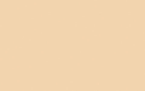 Intelligent Gloss | Stone Pale Warm no. 34