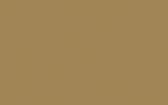 Intelligente Bodenfarbe | Stone Dark Warm Nr. 36