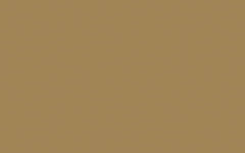 Intelligent Floor Paint | Stone Dark Warm no. 36