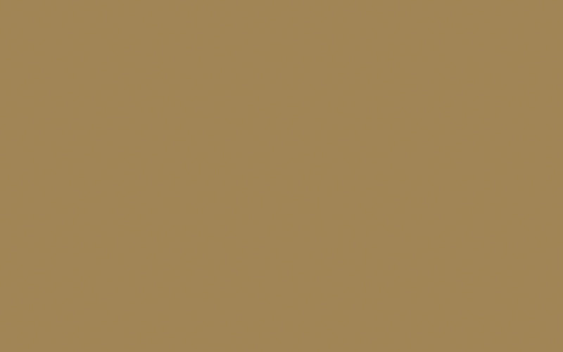 Intelligent Floor Paint | Stone Dark Warm no. 36