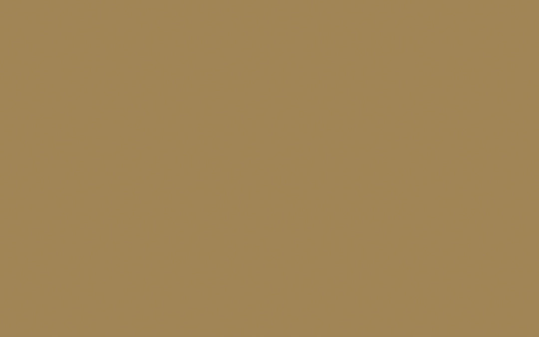 Intelligente Mauerfarbe | Stone Dark Warm Nr. 36