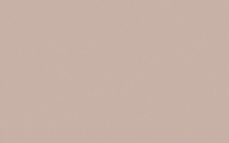 Intelligent Masonry Paint | Light Peachblossom no. 3