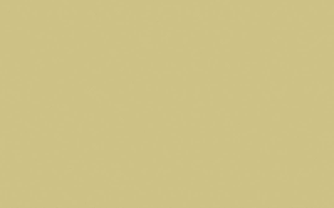Intelligent Masonry Paint | Oak Apple no. 63