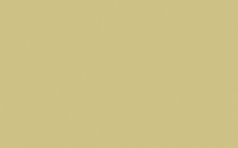 Intelligent Masonry Paint | Oak Apple no. 63