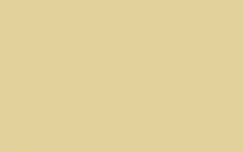 Distemper | Stone Pale Cool no. 65