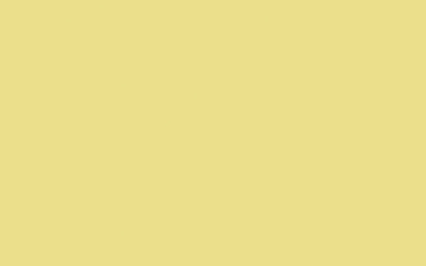 Absolute Matt Emulsion | Lemon Tree no. 69