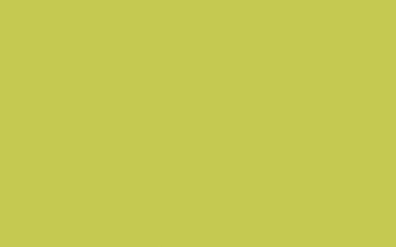 Absolute Matt Emulsion | Pale Lime no. 70