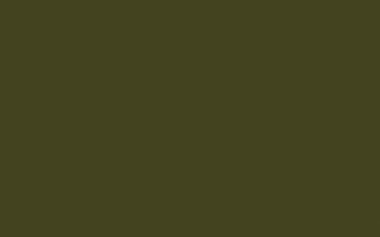 Interior Oil Eggshell | Olive Colour no. 72
