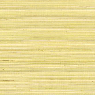 ÉLITIS Coiba Behang RM_110_60